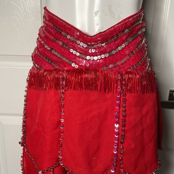 Vintage Sequin beaded fringe Skirt - Picture 3 of 12